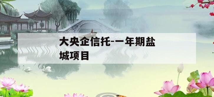 大央企信托-一年期盐城项目