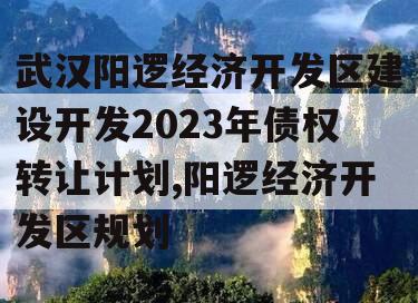 武汉阳逻经济开发区建设开发2023年债权转让计划,阳逻经济开发区规划