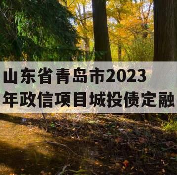 山东省青岛市2023年政信项目城投债定融