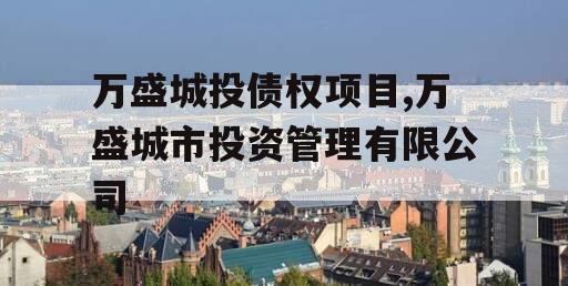 万盛城投债权项目,万盛城市投资管理有限公司