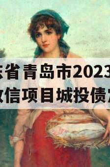 山东省青岛市2023年政信项目城投债定融