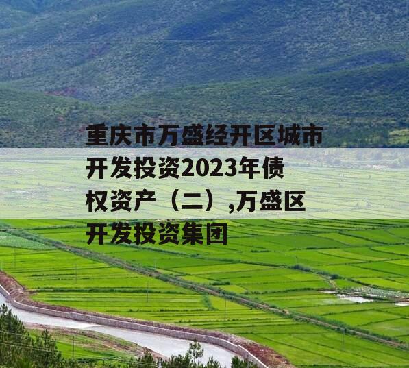 重庆市万盛经开区城市开发投资2023年债权资产（二）,万盛区开发投资集团