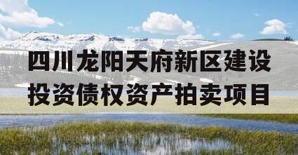 四川龙阳天府新区建设投资债权资产拍卖项目