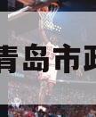 山东省青岛市政信项目