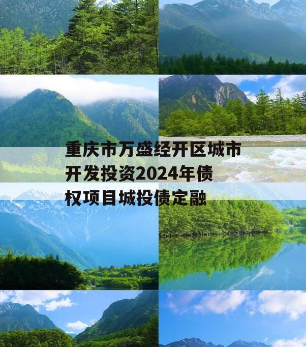 重庆市万盛经开区城市开发投资2024年债权项目城投债定融