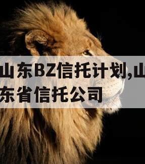 山东BZ信托计划,山东省信托公司