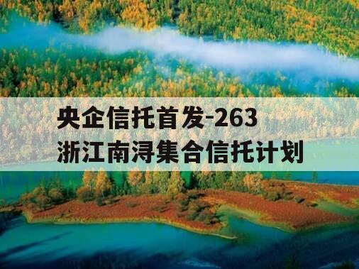 央企信托首发-263浙江南浔集合信托计划