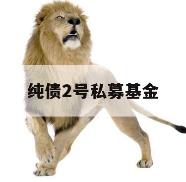 纯债2号私募基金