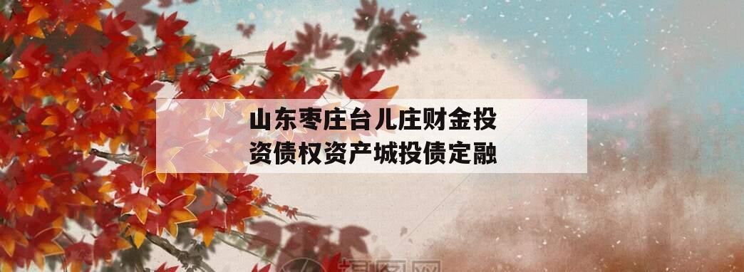 山东枣庄台儿庄财金投资债权资产城投债定融