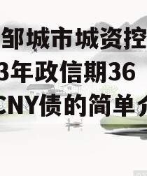 山东邹城市城资控政信2023年政信期364天CNY债的简单介绍