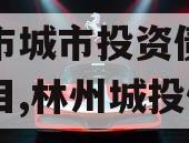 林州市城市投资债权融资项目,林州城投债券