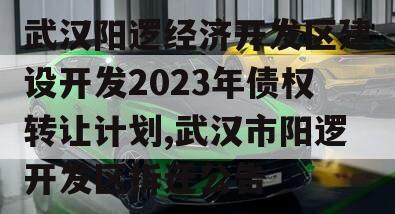 武汉阳逻经济开发区建设开发2023年债权转让计划,武汉市阳逻开发区拆迁公告