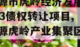 济源市虎岭经济发展2023债权转让项目,济源虎岭产业集聚区网站