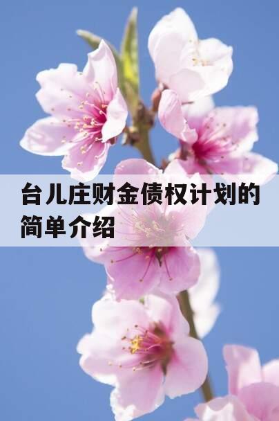 台儿庄财金债权计划的简单介绍