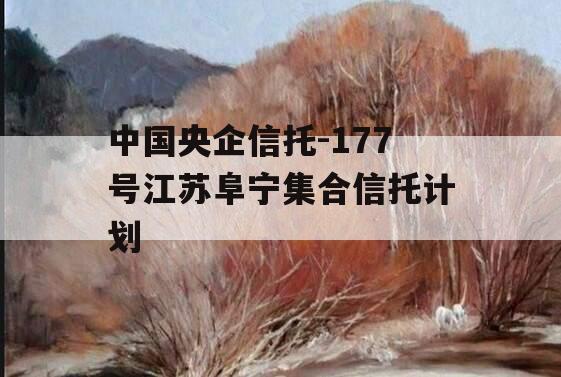 中国央企信托-177号江苏阜宁集合信托计划