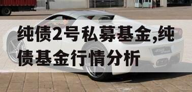 纯债2号私募基金,纯债基金行情分析