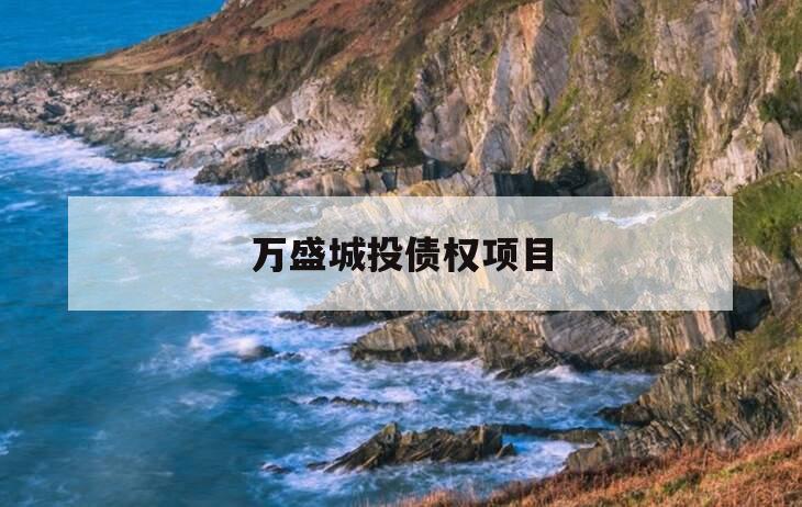 万盛城投债权项目