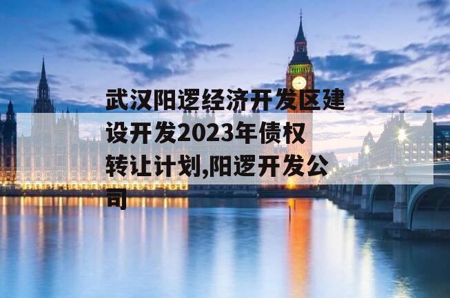 武汉阳逻经济开发区建设开发2023年债权转让计划,阳逻开发公司
