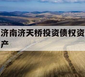 济南济天桥投资债权资产 济南济天桥投资债权资产