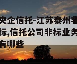 央企信托-江苏泰州非标,信托公司非标业务有哪些