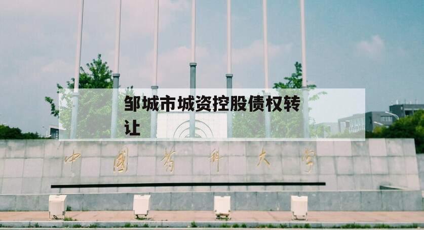 邹城市城资控股债权转让 邹城市城资控股债权转让