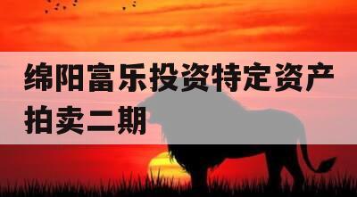绵阳富乐投资特定资产拍卖二期