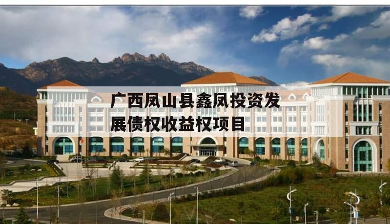 广西凤山县鑫凤投资发展债权收益权项目