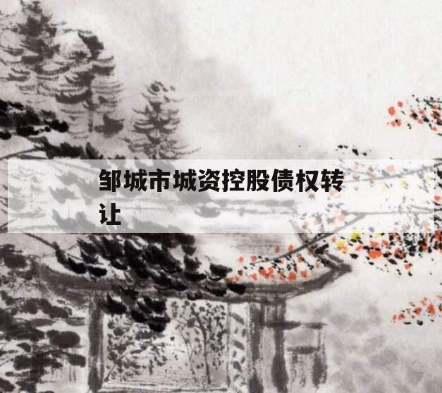 邹城市城资控股债权转让