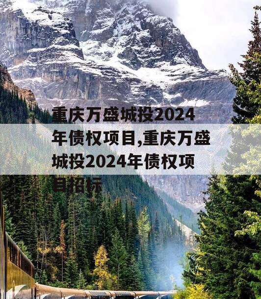 重庆万盛城投2024年债权项目,重庆万盛城投2024年债权项目招标