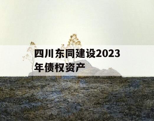 四川东同建设2023年债权资产