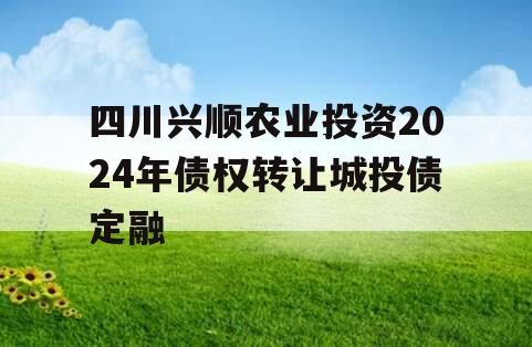 四川兴顺农业投资2024年债权转让城投债定融