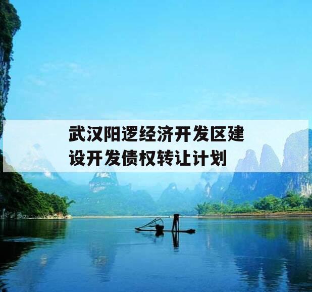 武汉阳逻经济开发区建设开发债权转让计划