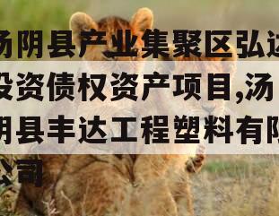 汤阴县产业集聚区弘达投资债权资产项目,汤阴县丰达工程塑料有限公司