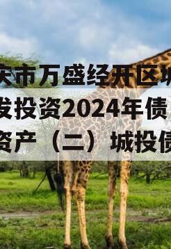 重庆市万盛经开区城市开发投资2024年债权资产（二）城投债定融