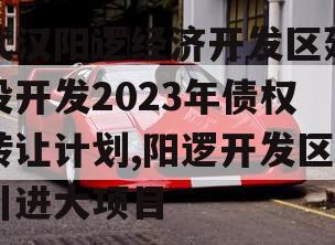 武汉阳逻经济开发区建设开发2023年债权转让计划,阳逻开发区引进大项目