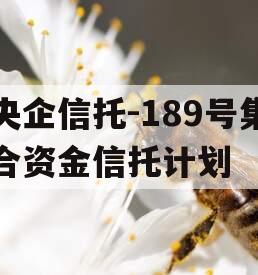 央企信托-189号集合资金信托计划