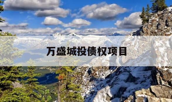 万盛城投债权项目