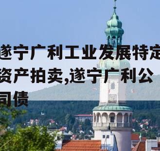 遂宁广利工业发展特定资产拍卖,遂宁广利公司债