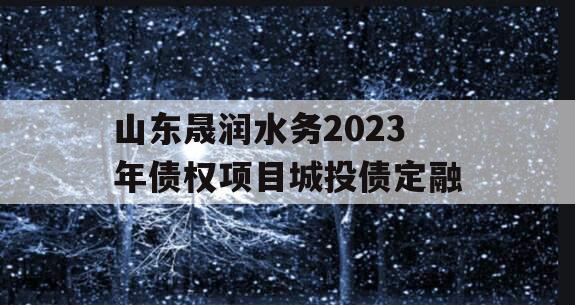 山东晟润水务2023年债权项目城投债定融