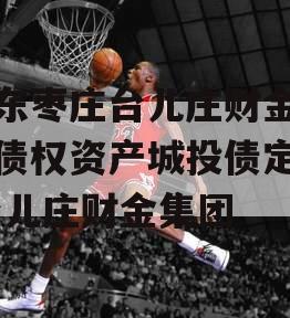 山东枣庄台儿庄财金投资债权资产城投债定融,台儿庄财金集团