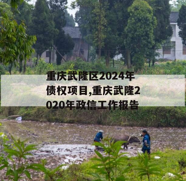 重庆武隆区2024年债权项目,重庆武隆2020年政信工作报告