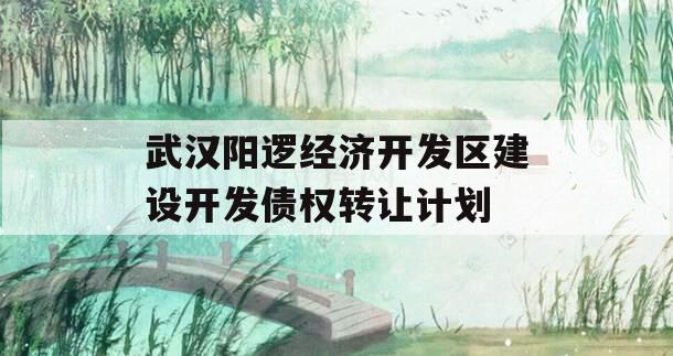 武汉阳逻经济开发区建设开发债权转让计划