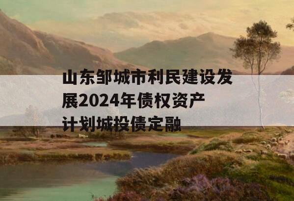 山东邹城市利民建设发展2024年债权资产计划城投债定融