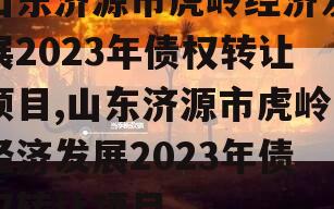 山东济源市虎岭经济发展2023年债权转让项目,山东济源市虎岭经济发展2023年债权转让项目