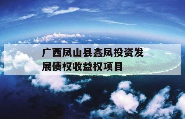 广西凤山县鑫凤投资发展债权收益权项目