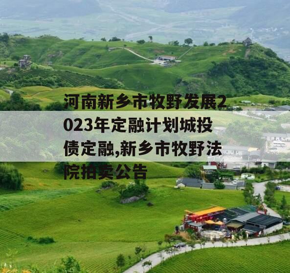 河南新乡市牧野发展2023年定融计划城投债定融,新乡市牧野法院拍卖公告