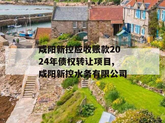 咸阳新控应收账款2024年债权转让项目,咸阳新控水务有限公司