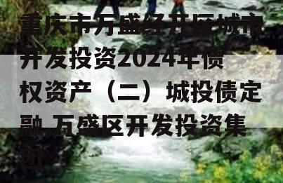 重庆市万盛经开区城市开发投资2024年债权资产（二）城投债定融,万盛区开发投资集团