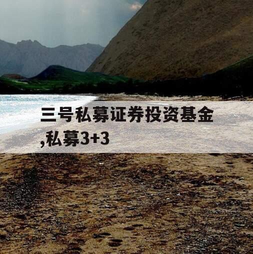 三号私募证券投资基金,私募3+3
