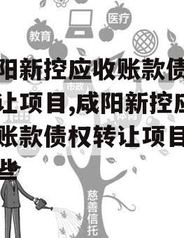 咸阳新控应收账款债权转让项目,咸阳新控应收账款债权转让项目有哪些